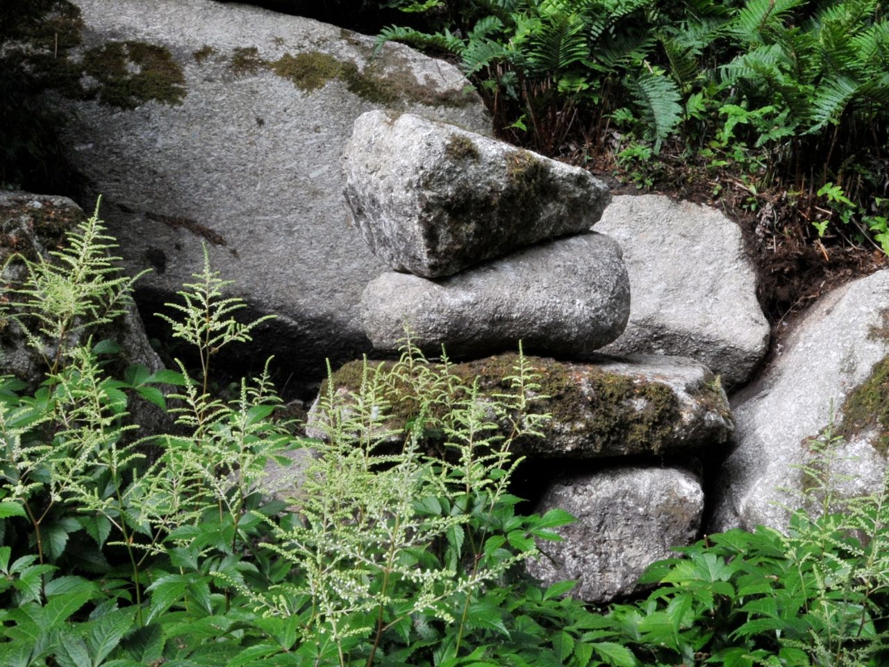 Michael Paul Harvey Stack 1 Hero