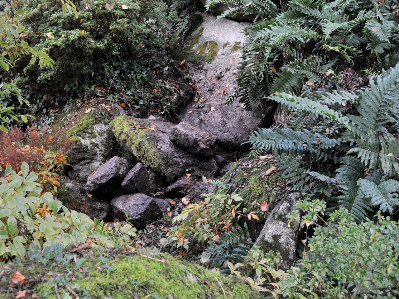 Michael Paul Harvey Stack 4